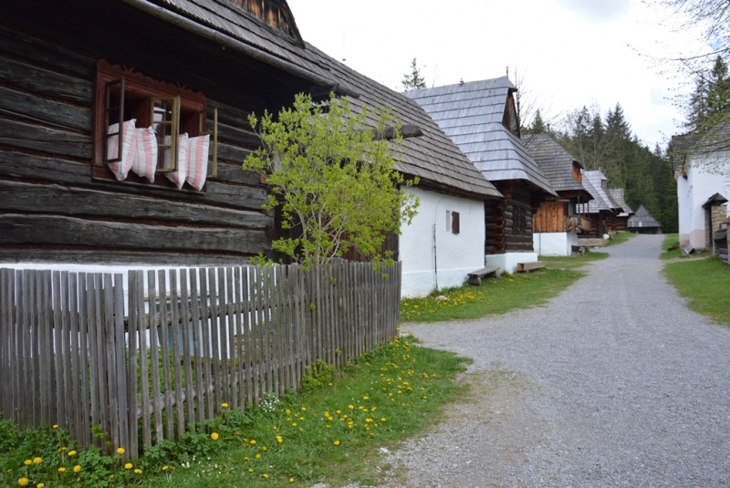 Novinky & fotogaléria / Škola v prírode 2019