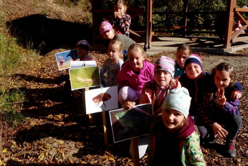 Novinky & fotogaléria / Lesná pedagogika