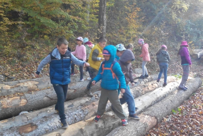 Novinky & fotogaléria / Lesná pedagogika