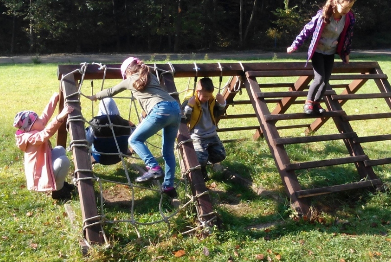 Novinky & fotogaléria / Lesná pedagogika