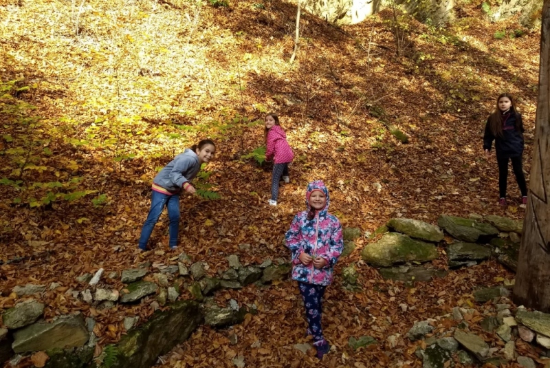 Novinky & fotogaléria / Lesná pedagogika 