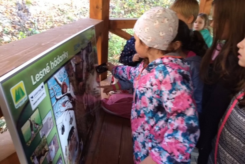 Novinky & fotogaléria / Lesná pedagogika 