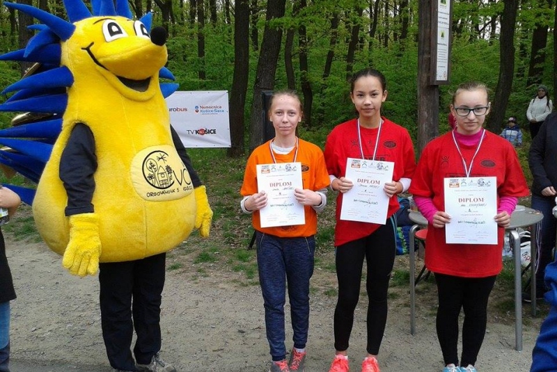 Športové súťaže / Beh Lesopark Furča