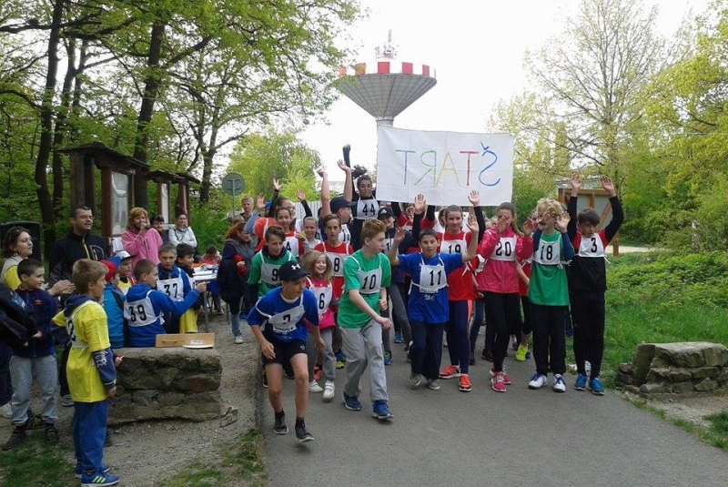 Športové súťaže / Beh Lesopark Furča