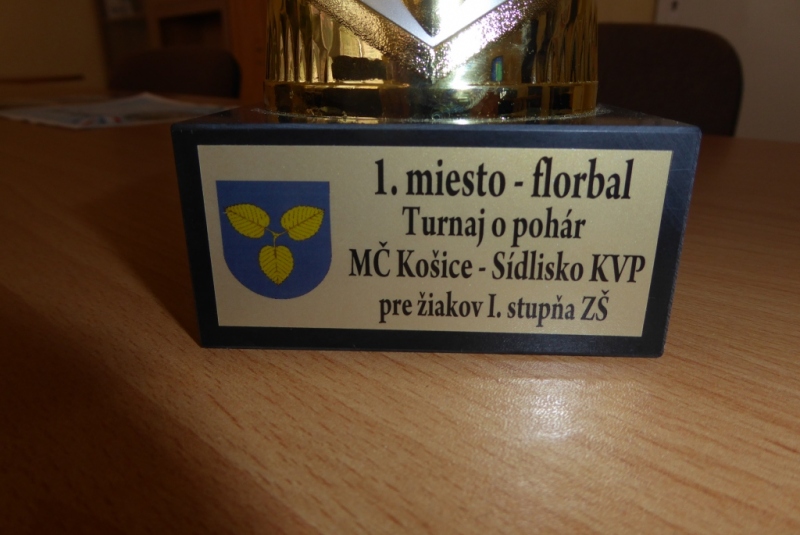 Športové súťaže / Florbalový