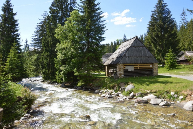 Novinky & fotogaléria / Škola v prírode