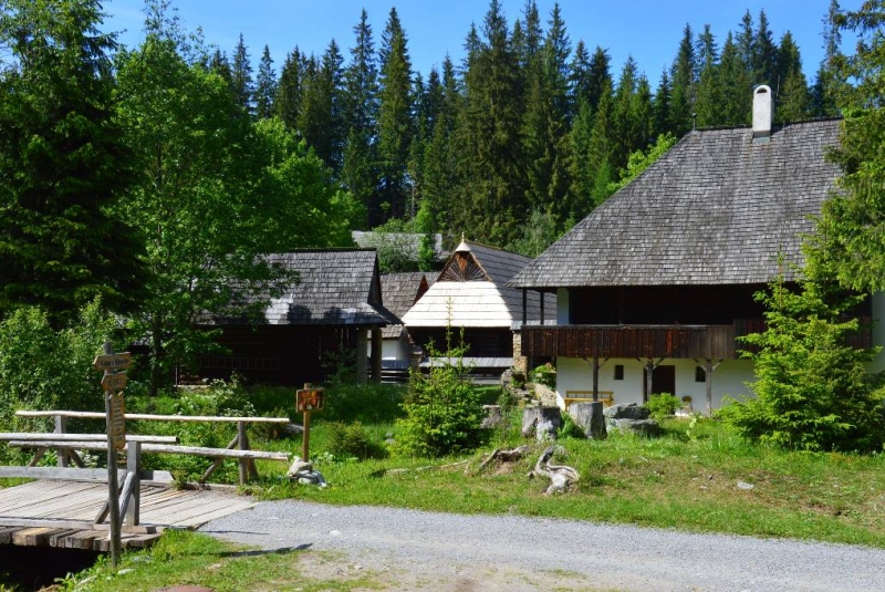 Novinky & fotogaléria / Škola v prírode