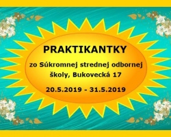 Praktikantky