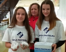 Biela pastelka