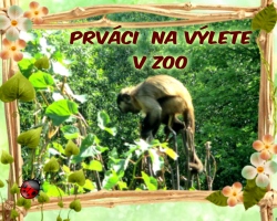 Výlet v ZOO