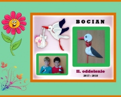 Bocian