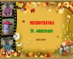 Muchotrávka 